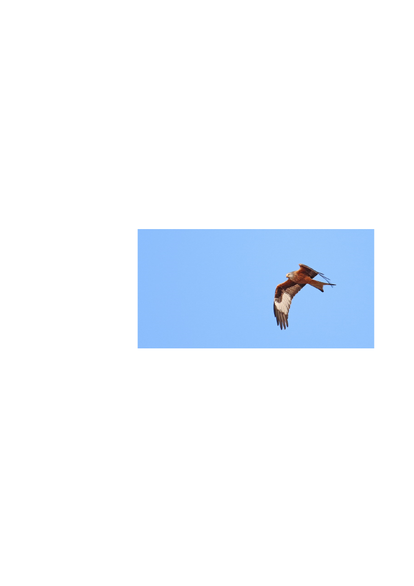 2512967_0075.png