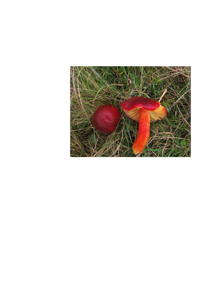 2512967_0080.png