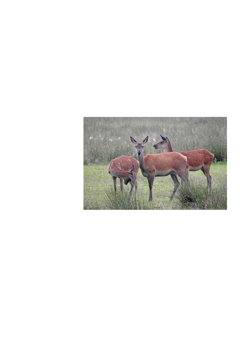 2512967_0083.png