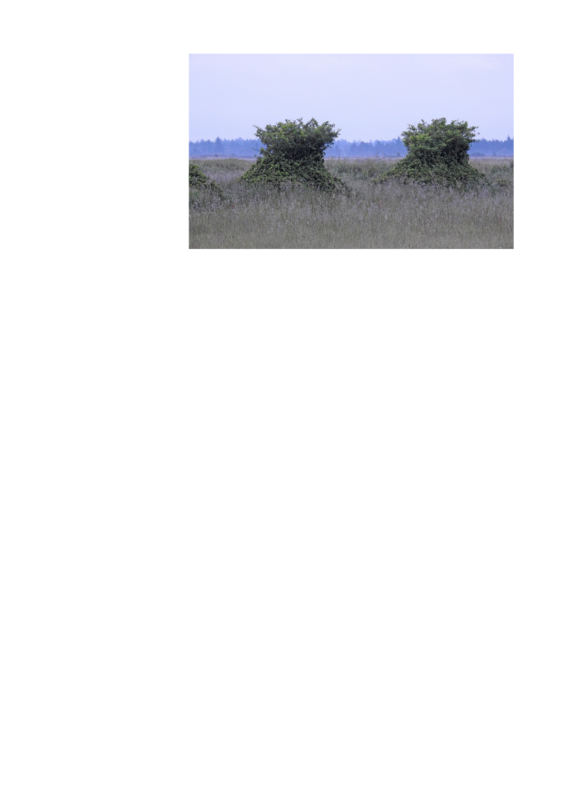 2512967_0084.png