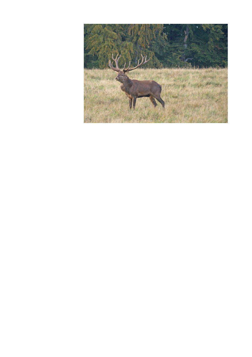 2512967_0086.png