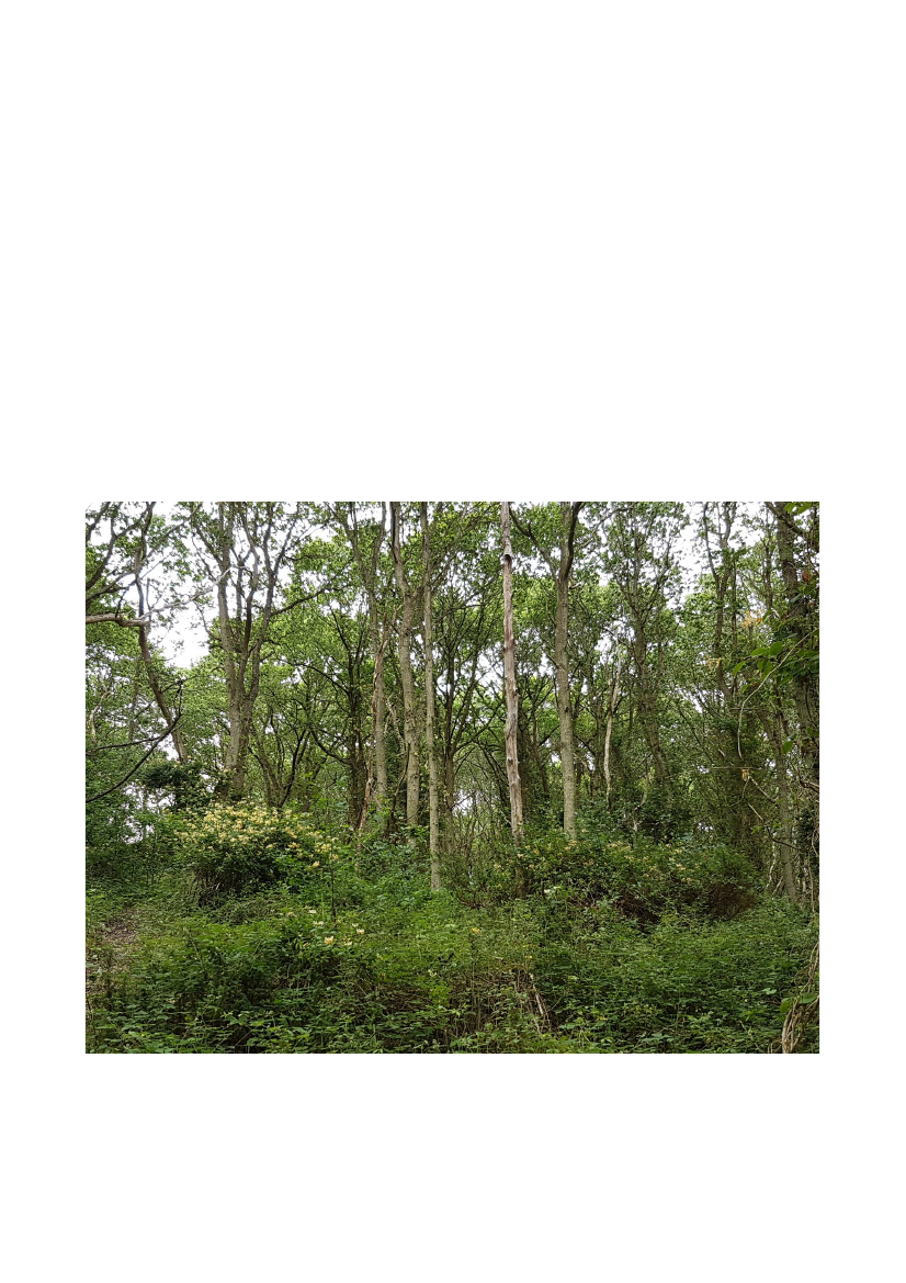 2512967_0094.png