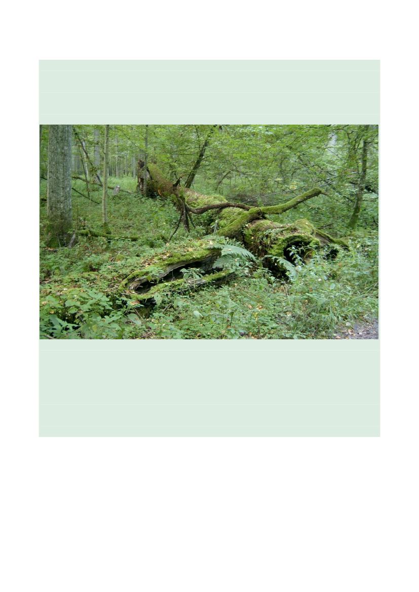 2512969_0022.png