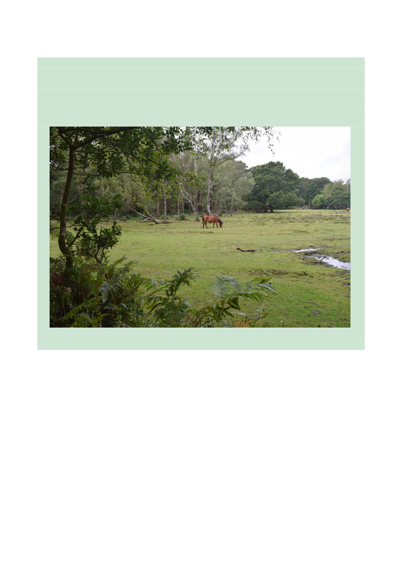 2512969_0032.png