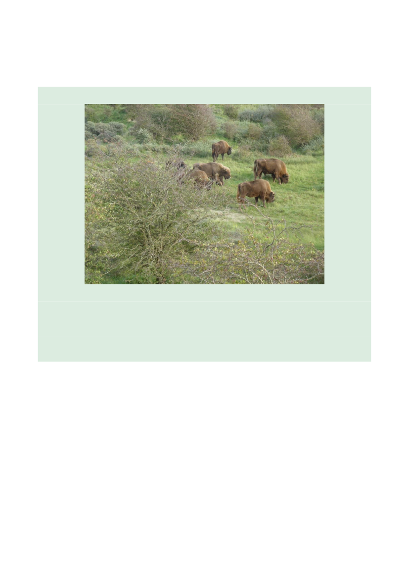 2512969_0037.png