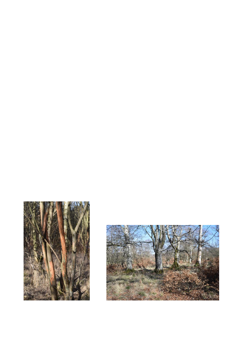 2512969_0038.png