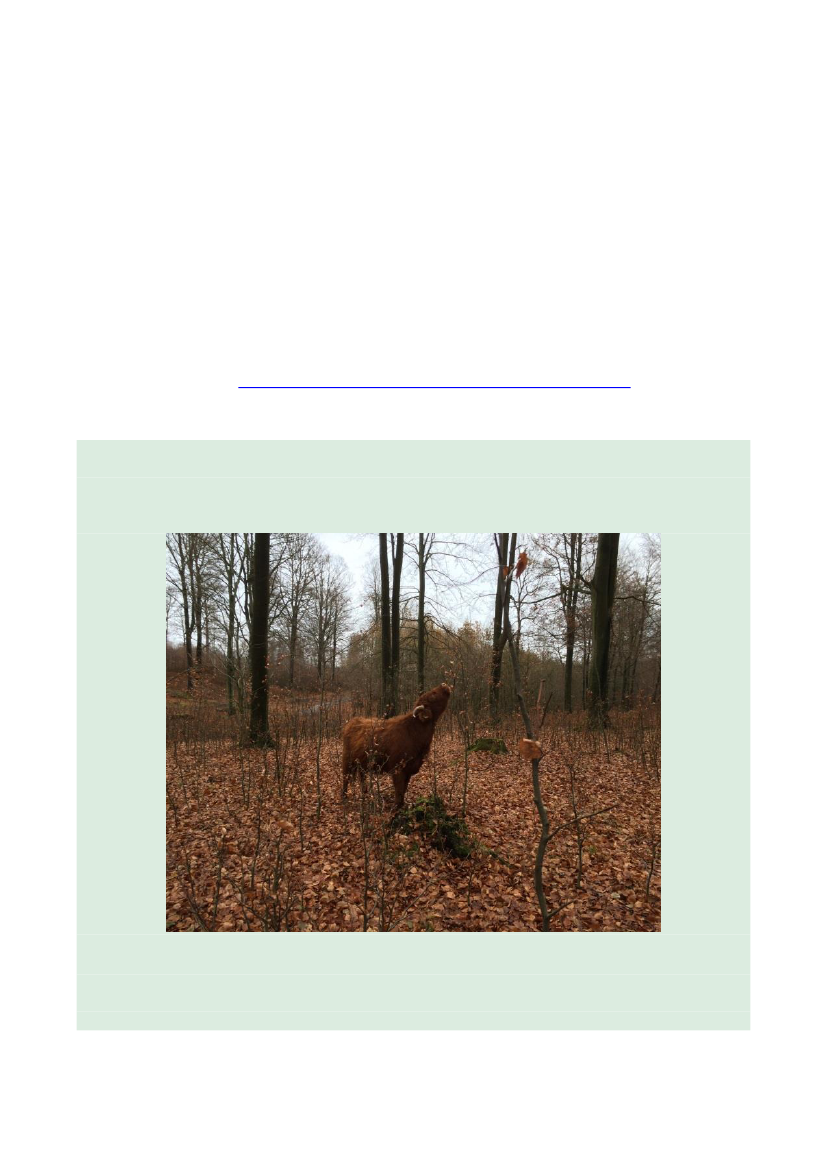 2512969_0044.png