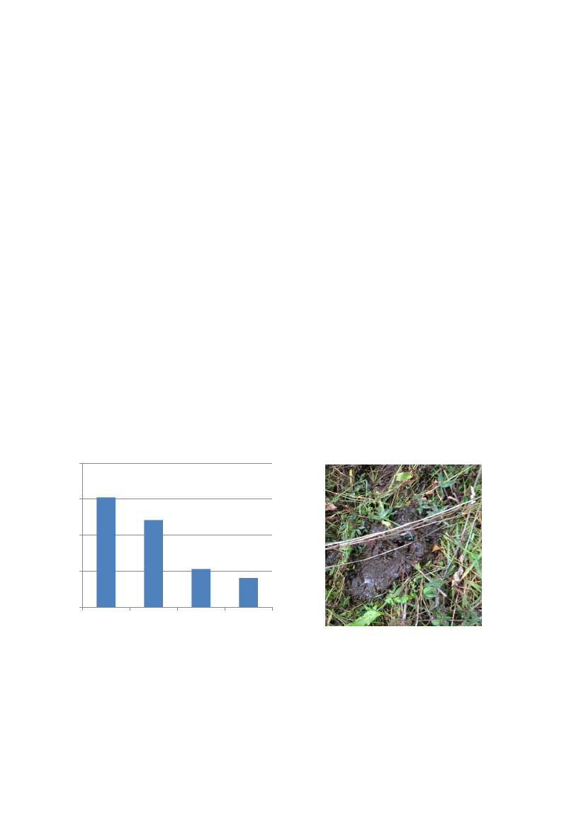 2512969_0050.png