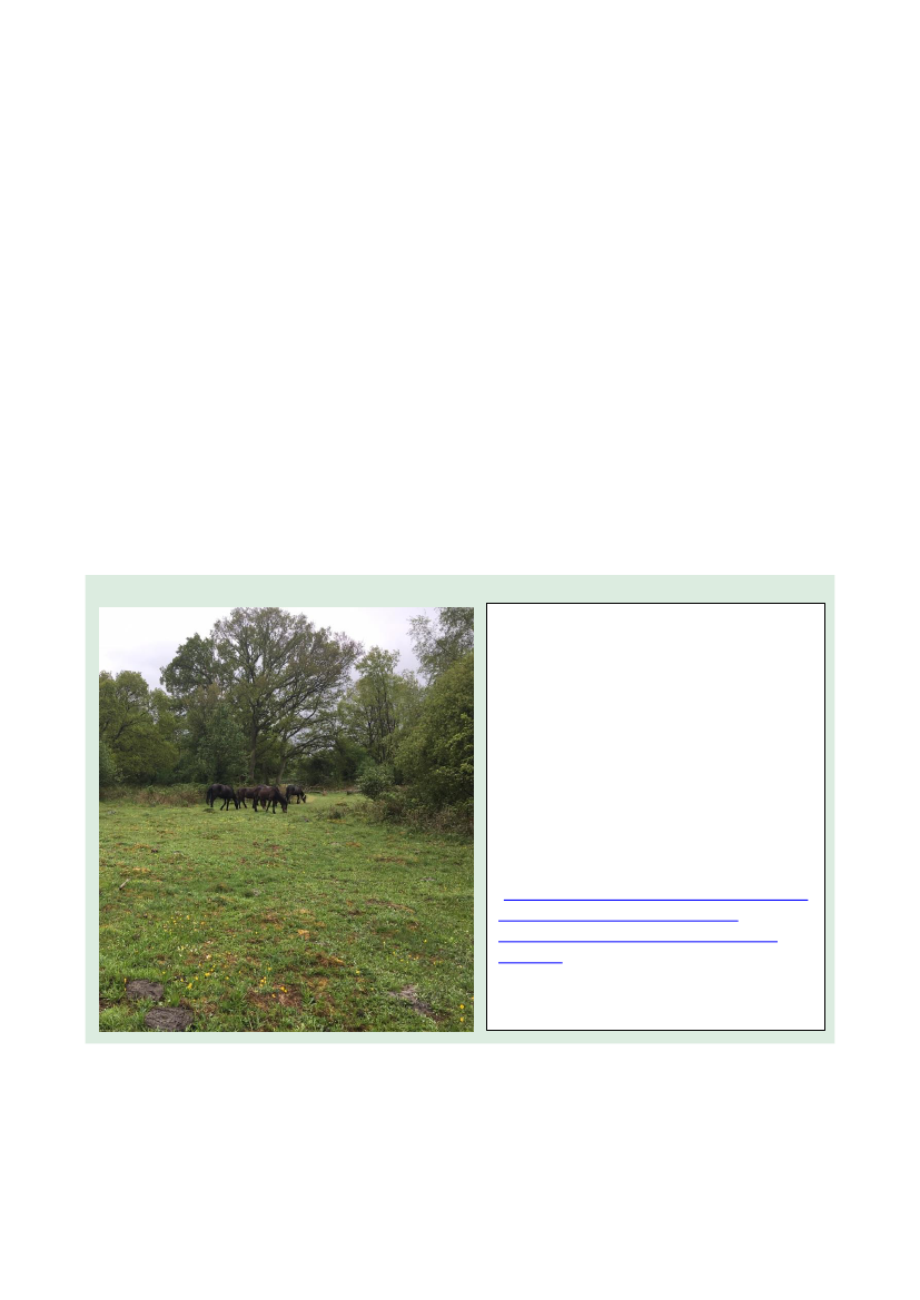2512969_0052.png