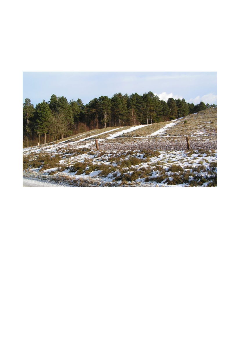 2512969_0058.png