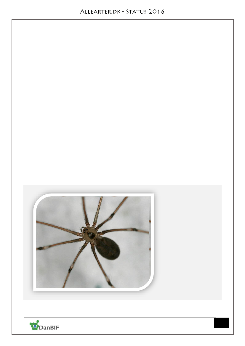 2517492_0012.png