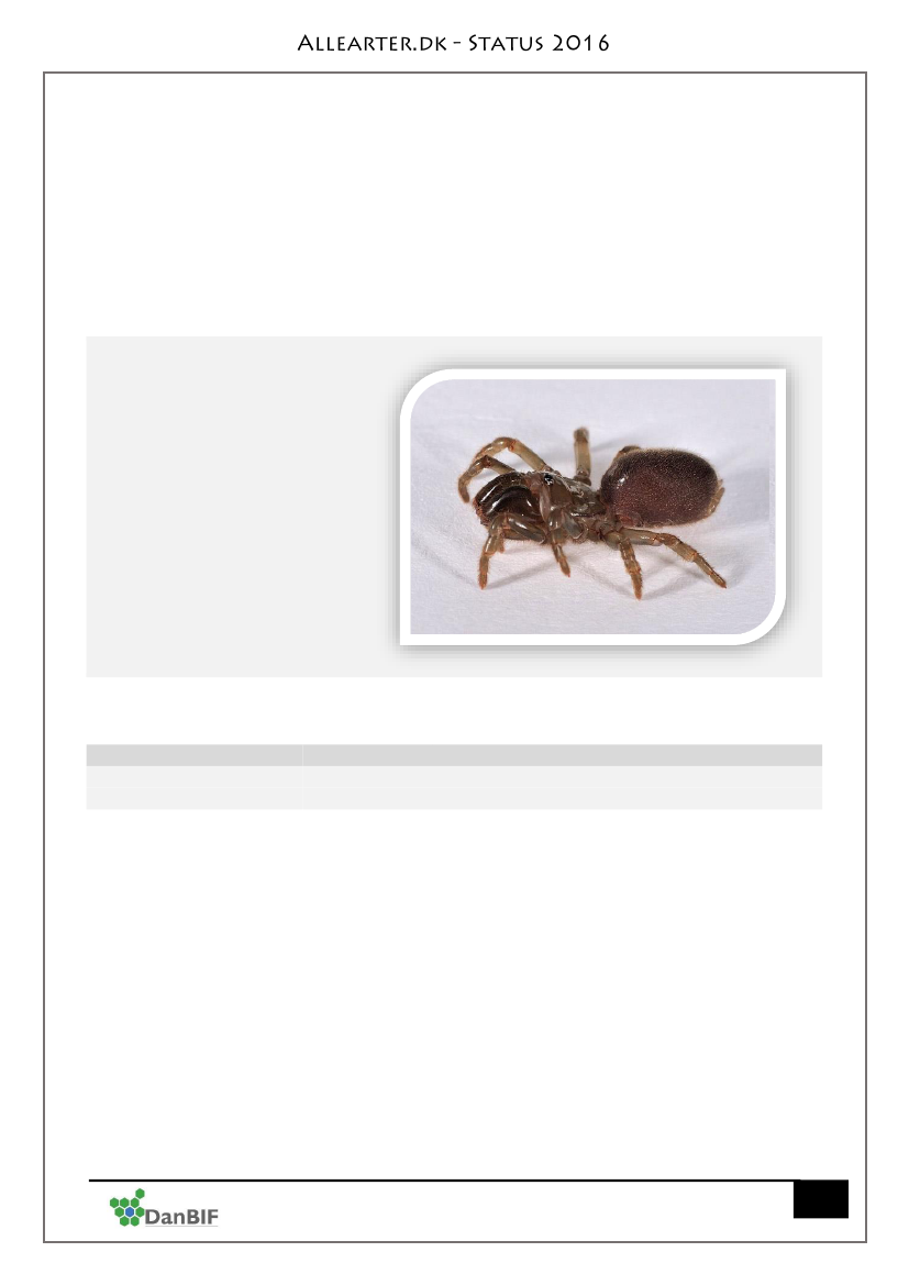 2517492_0124.png