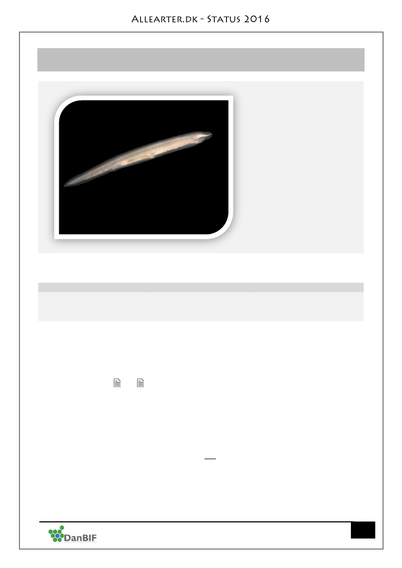 2517492_0273.png