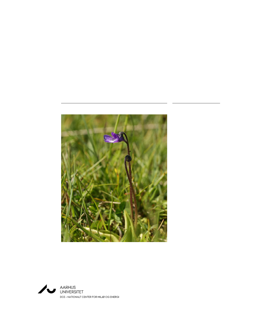 2545041_0001.png