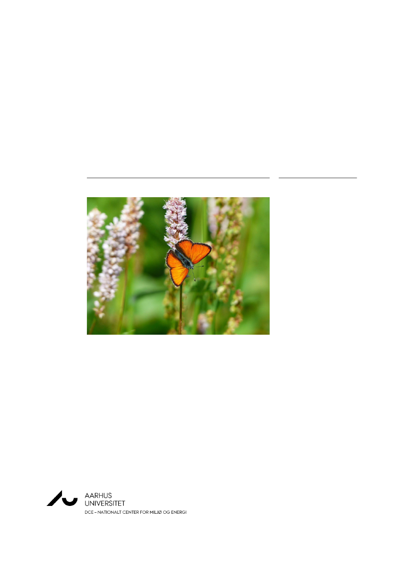 2545067_0001.png