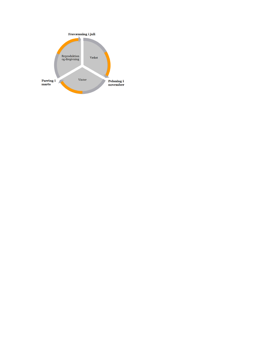 2572107_0013.png
