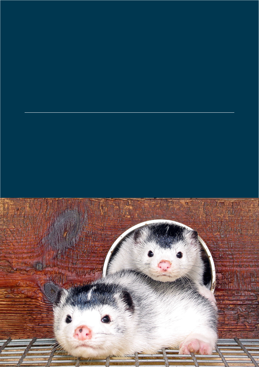 2572107_0101.png