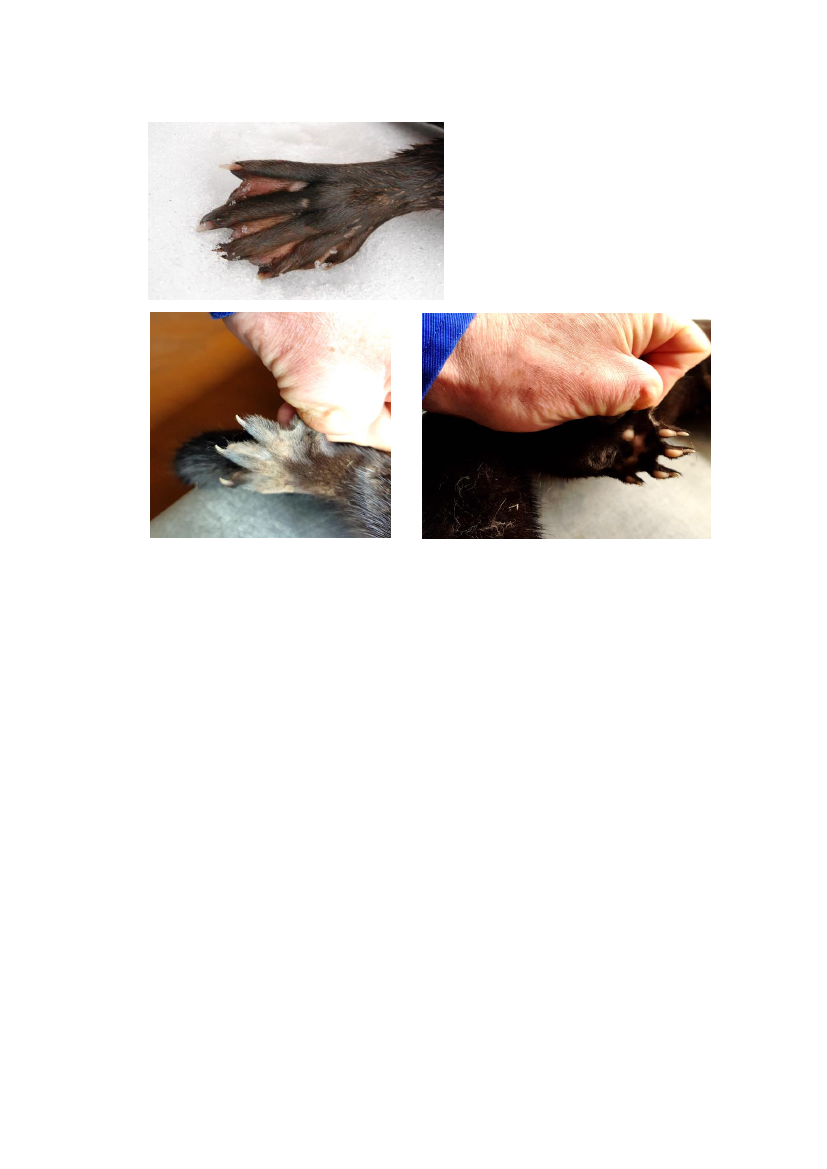 2572107_0134.png