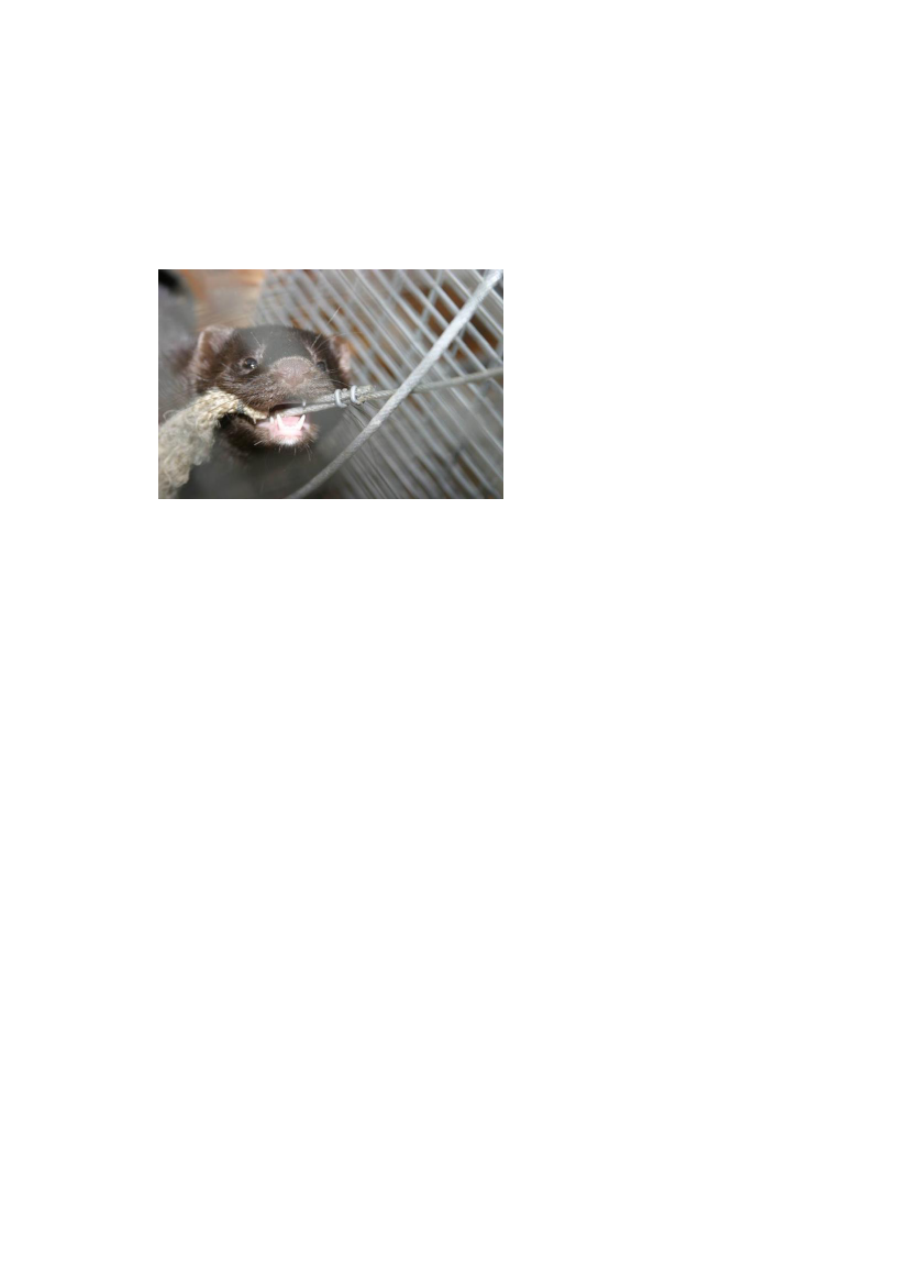2572107_0155.png