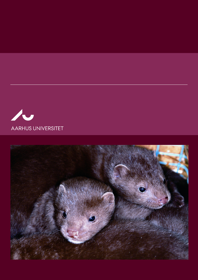 2572109_0009.png