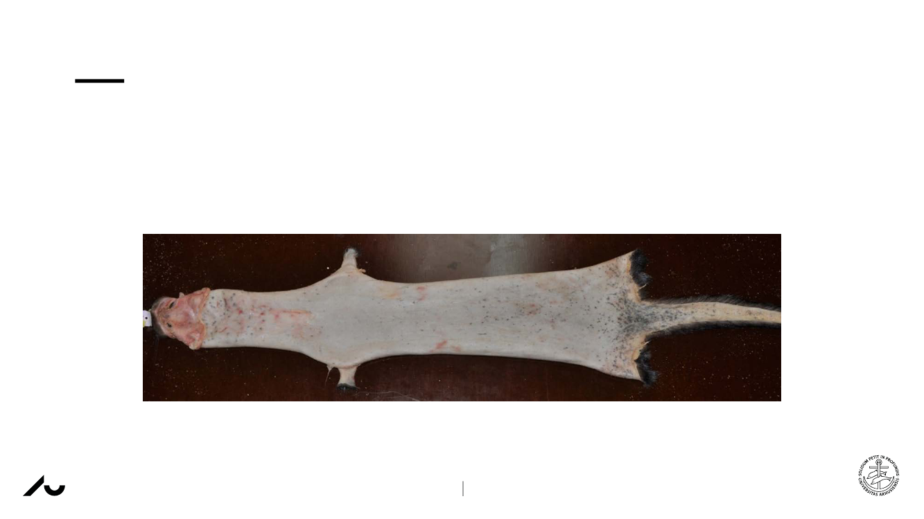 2572136_0005.png