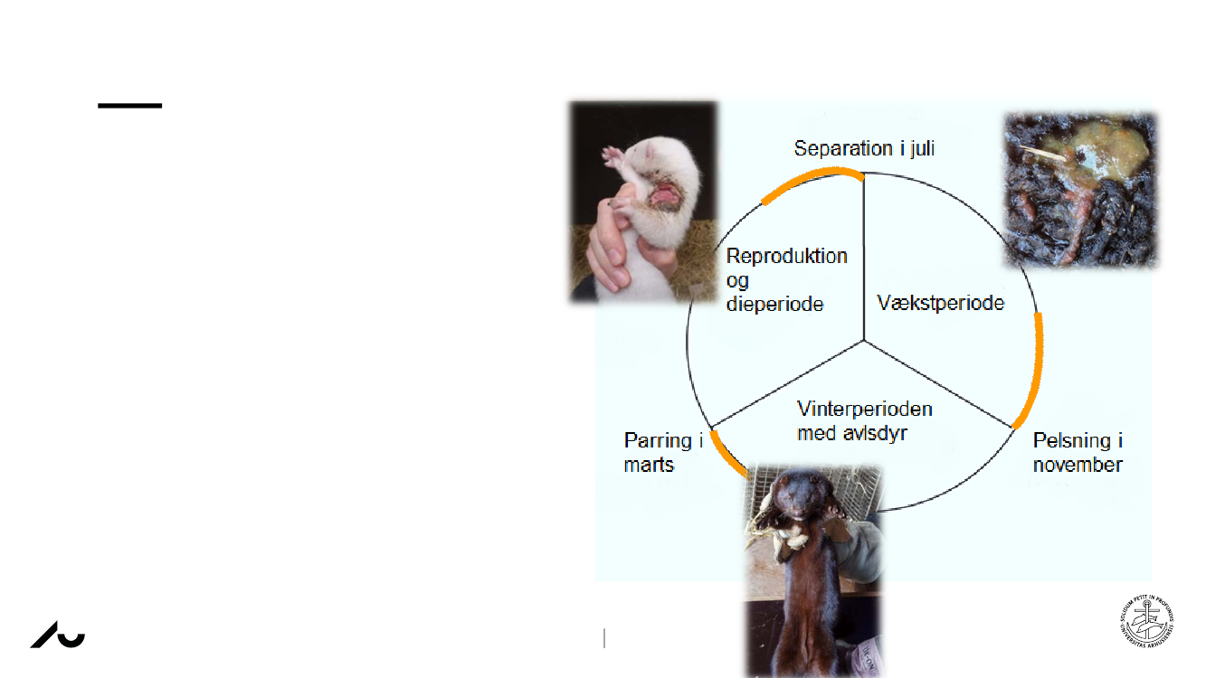 2572136_0008.png