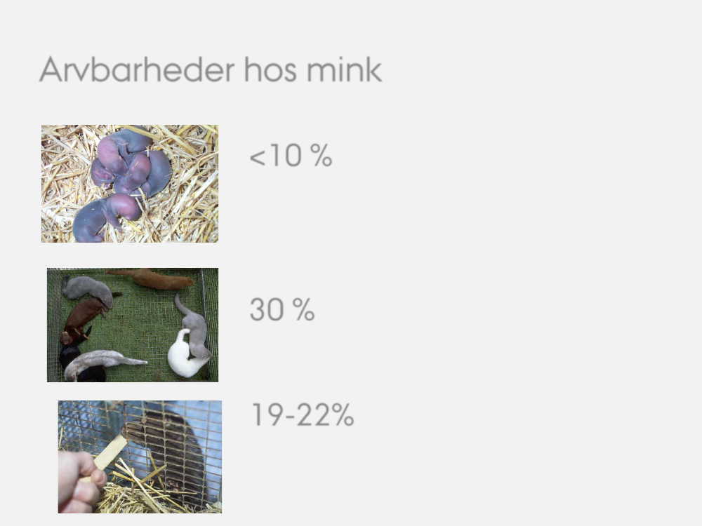 2572136_0038.png