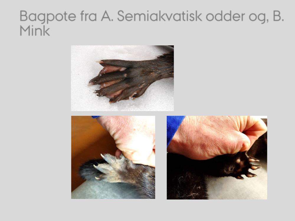 2572136_0047.png