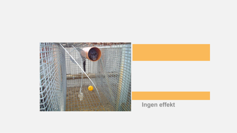 2572136_0064.png