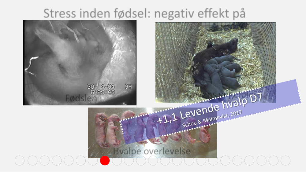 2572136_0082.png