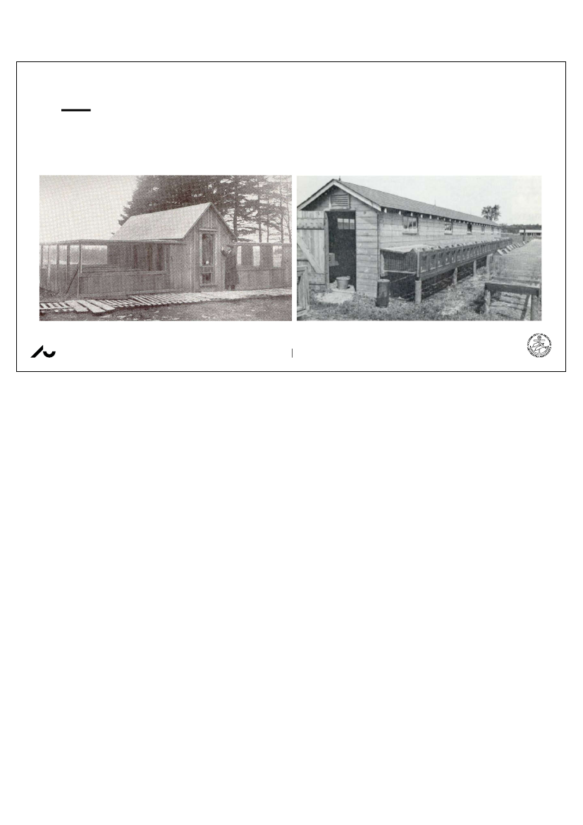 2572136_0125.png