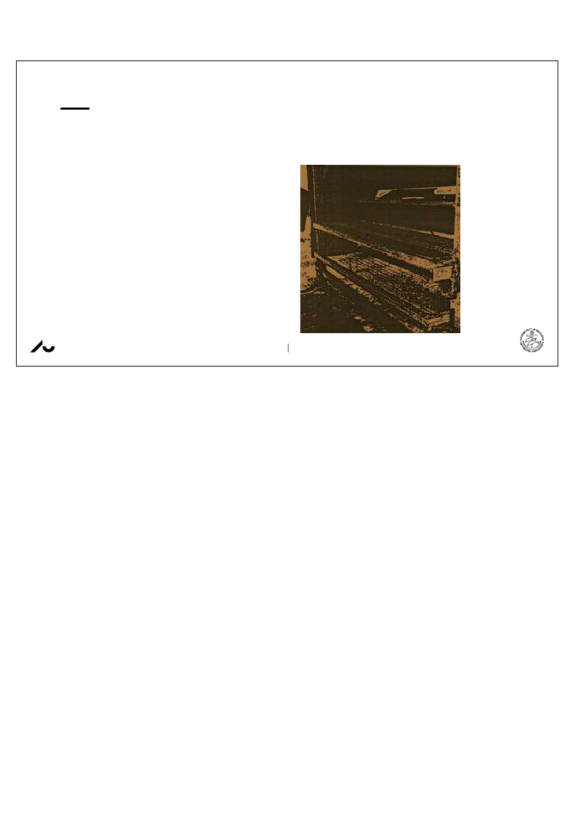 2572136_0131.png