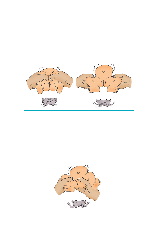 2877477_0072.png