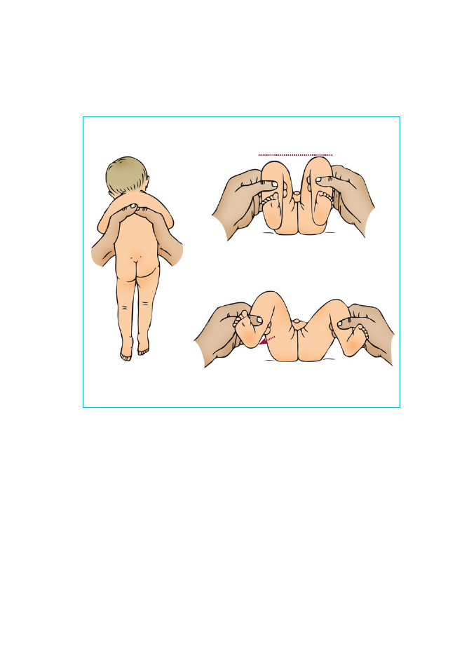 2877477_0073.png