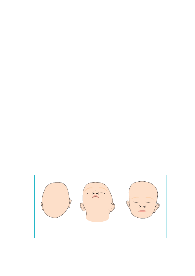 2877477_0075.png