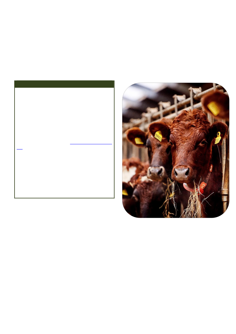 2879717_0008.png