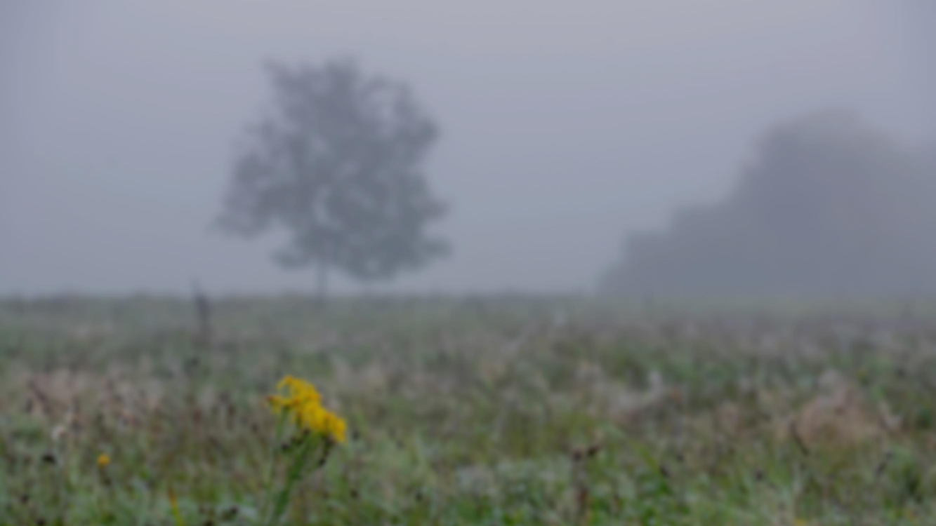 2991790_0027.png