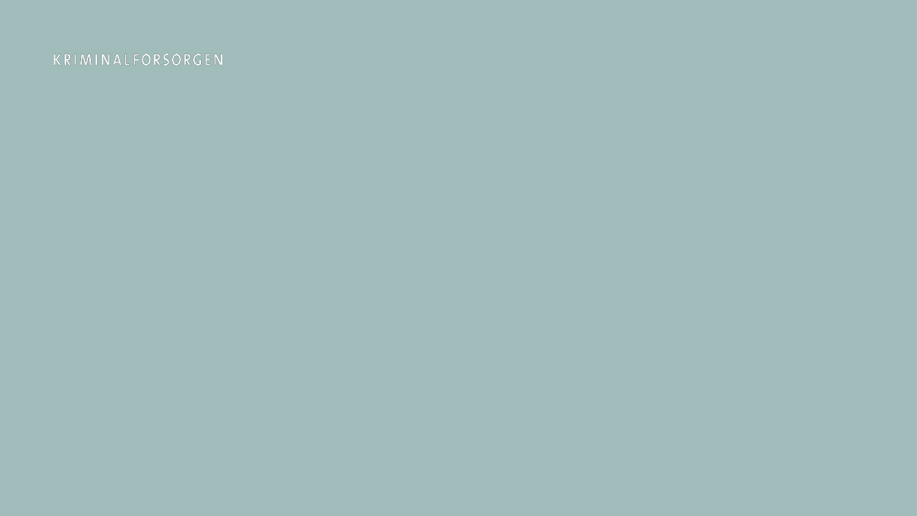 3041017_0013.png