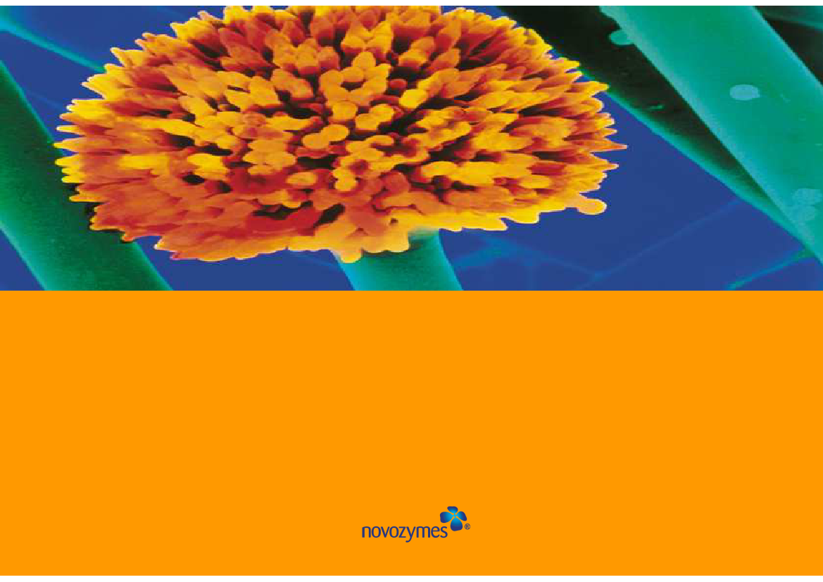 125206_0001.png