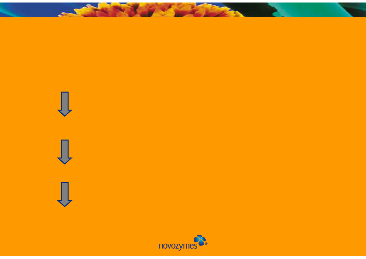 125206_0003.png