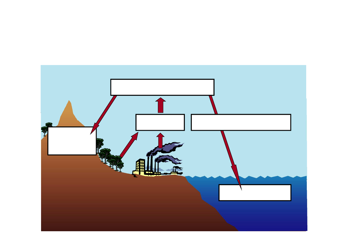 640249_0005.png