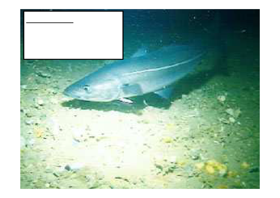 640249_0024.png