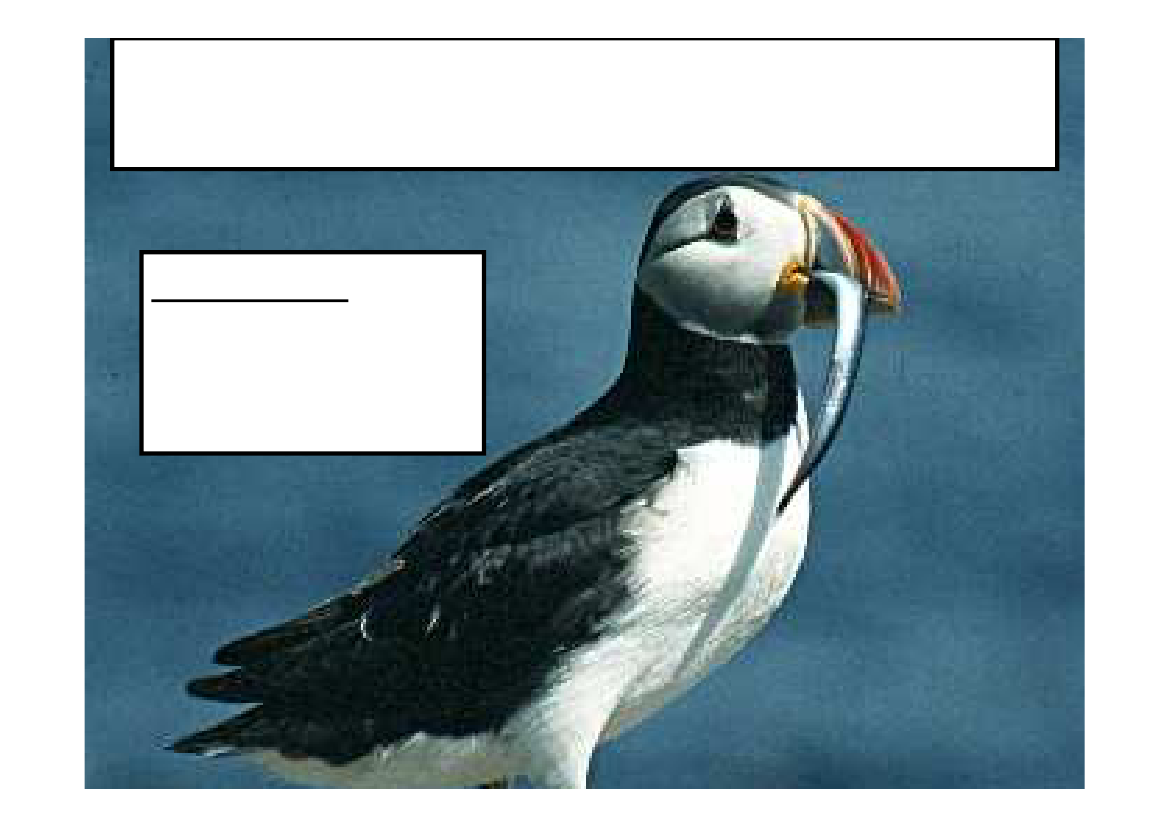 640249_0025.png