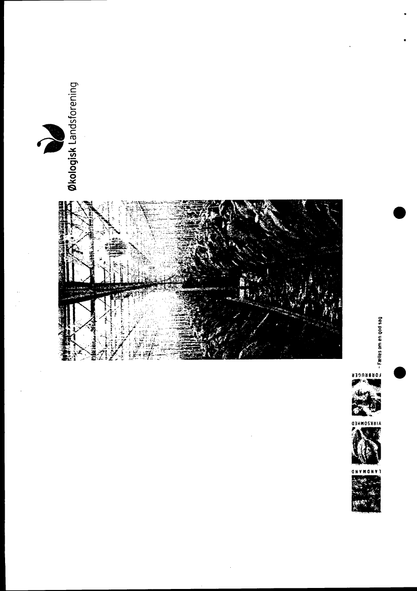 666888_0006.png