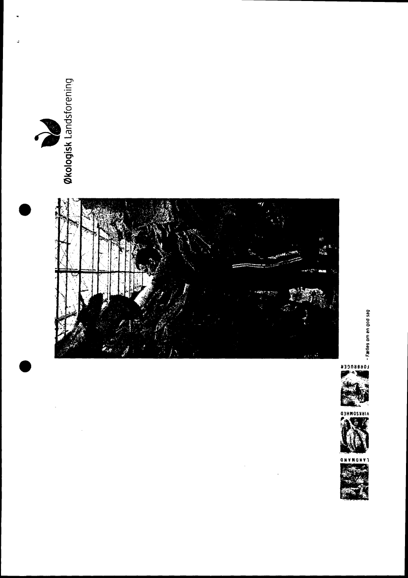 666888_0009.png