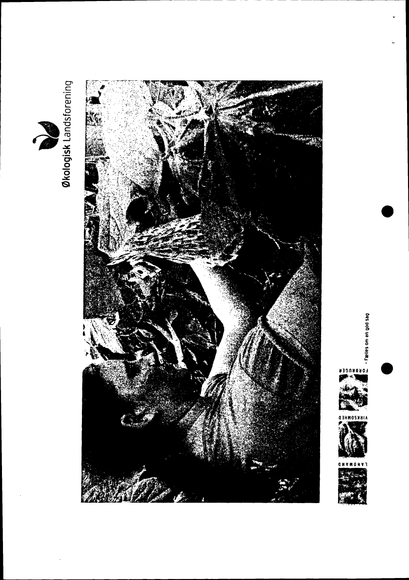 666888_0010.png