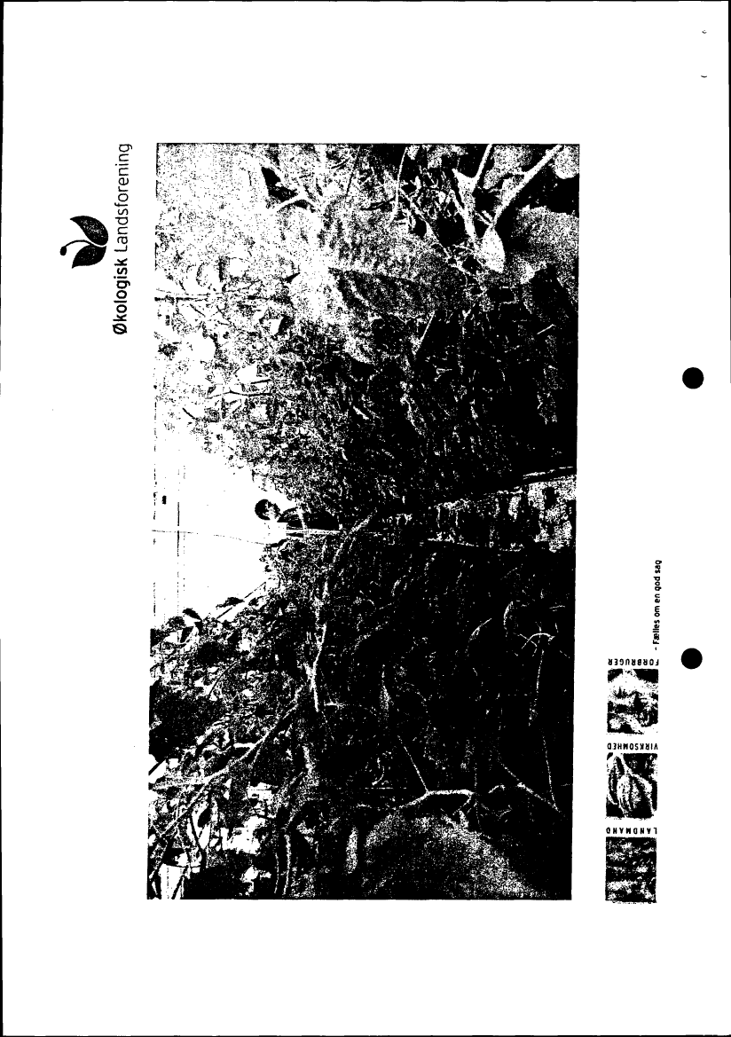 666888_0012.png