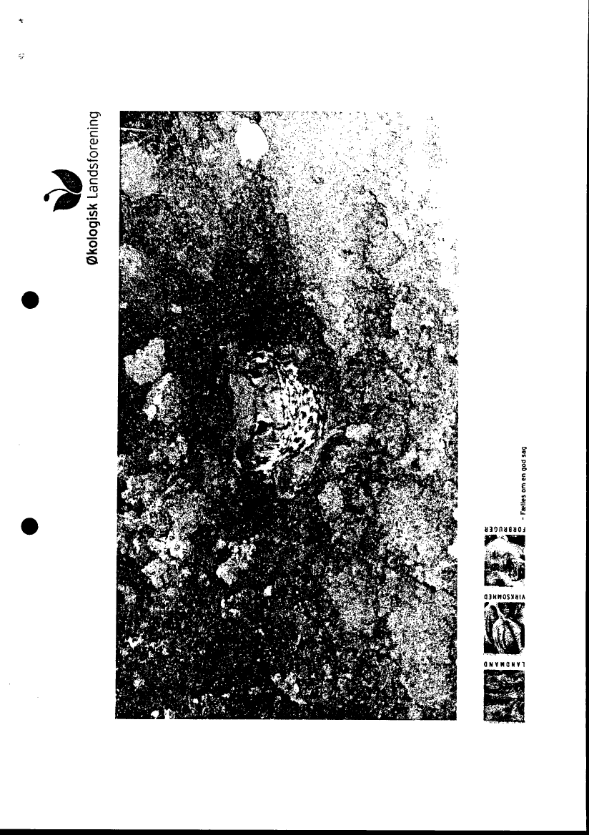666888_0017.png