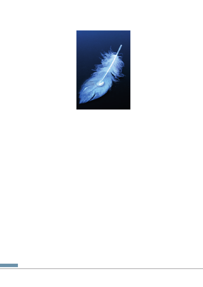 699024_0024.png