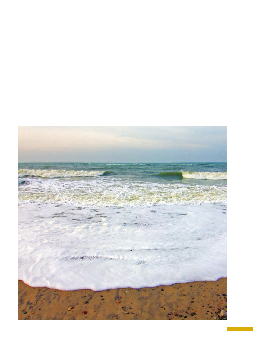 701276_0012.png